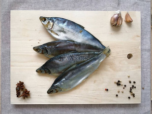 Сыр к пиву: Пелядь вяленая